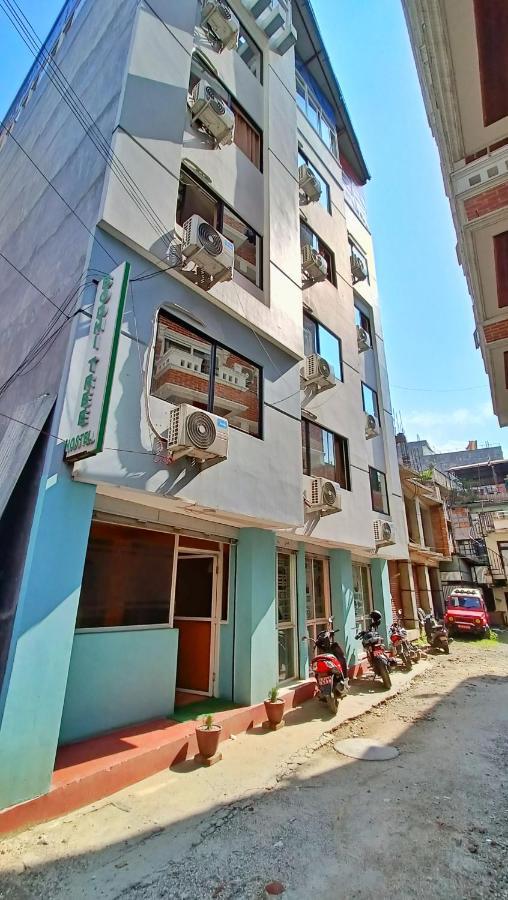 Bodhi Tree Hostel Katmandú Exterior foto